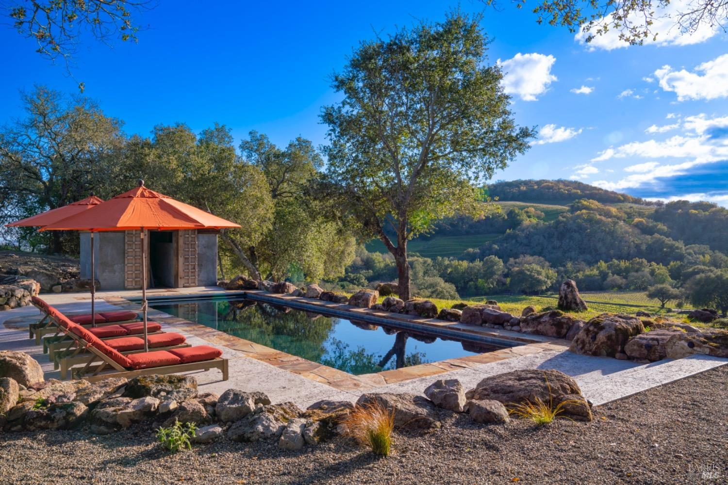 The heated pool on its terrace, looking out over the estate vineyards and the rolling Sonoma hills
